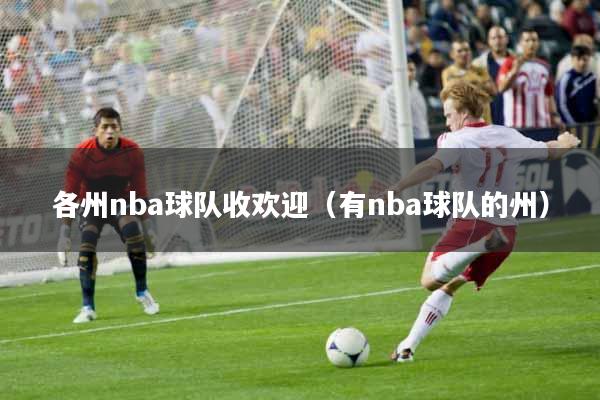 各州nba球队收欢迎（有nba球队的州）