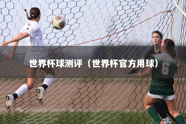 世界杯球测评（世界杯官方用球）