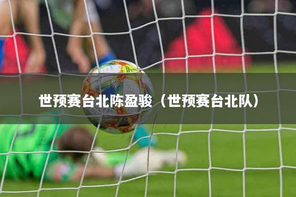 世预赛台北陈盈骏（世预赛台北队）