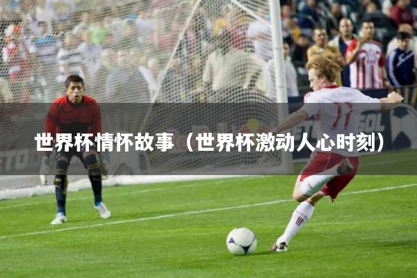 世界杯情怀故事（世界杯激动人心时刻）