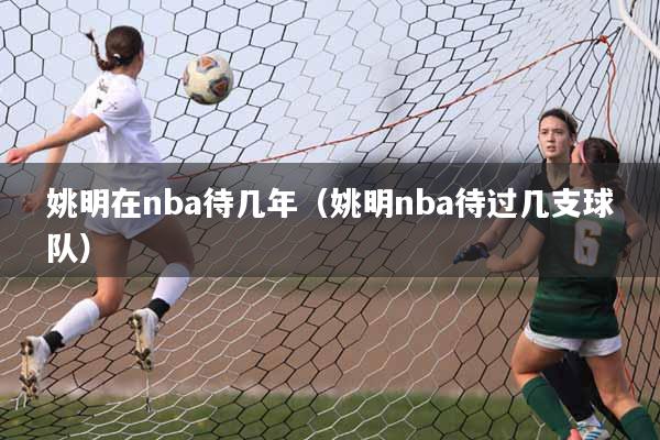 姚明在nba待几年（姚明nba待过几支球队）