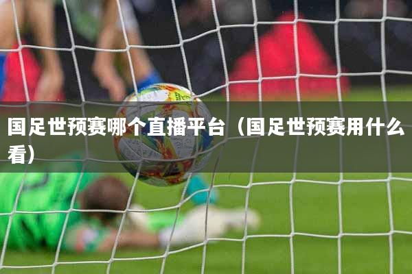 国足世预赛哪个直播平台（国足世预赛用什么看）