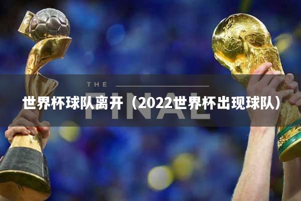 世界杯球队离开（2022世界杯出现球队）