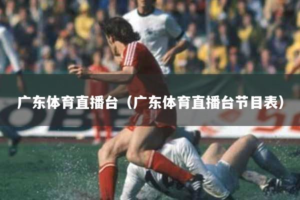 广东体育直播台（广东体育直播台节目表）